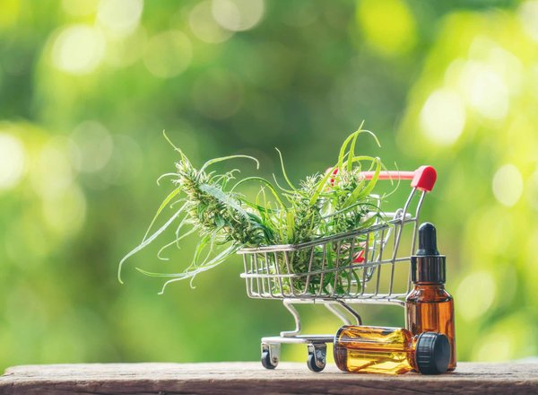 Comment bien choisir sa boutique de vente de produits à base de CBD en ligne ?