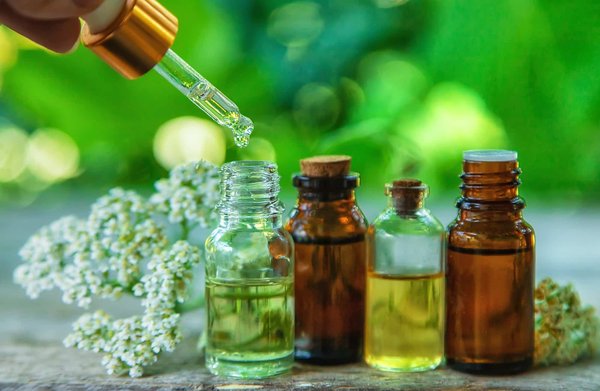 Traitements phytothérapie : guide complet
