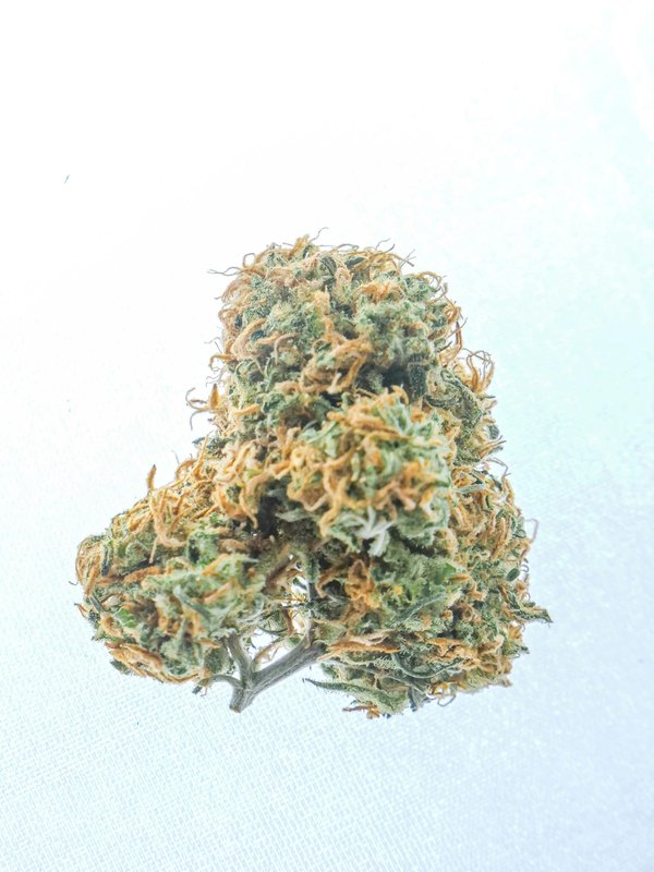 Amnesia Haze  : une variété emblématique aux arômes intenses et aux effets harmonieux